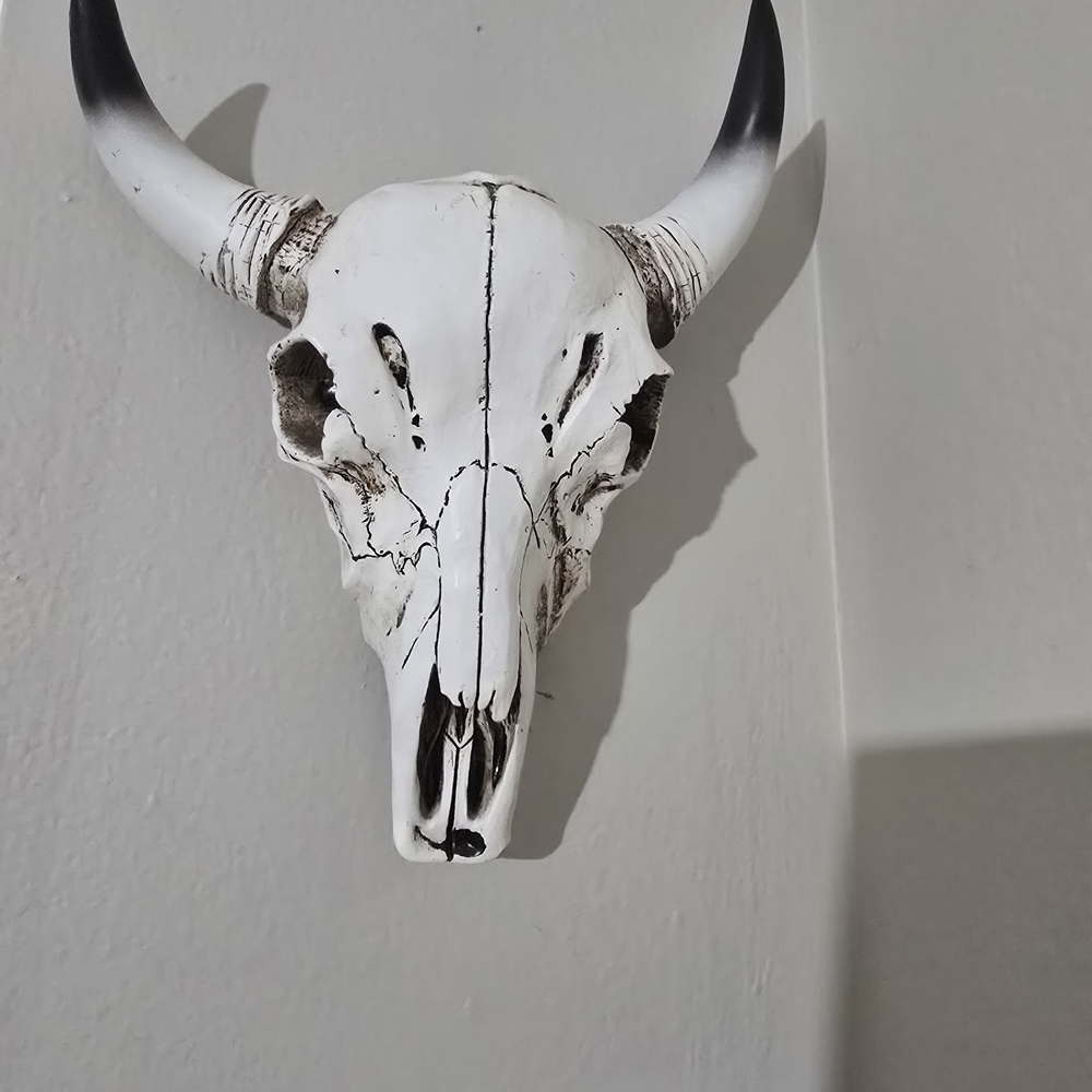 Rustic White and Black Bull Skull Wall Decor